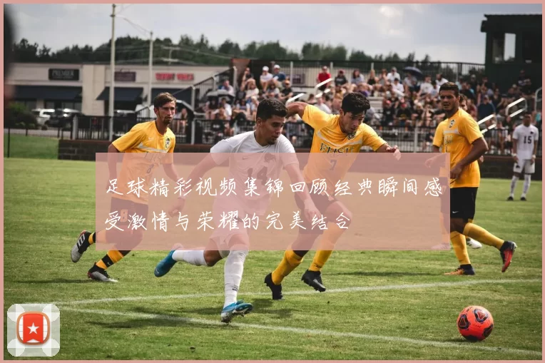 足球精彩视频集锦回顾经典瞬间感受激情与荣耀的完美结合
